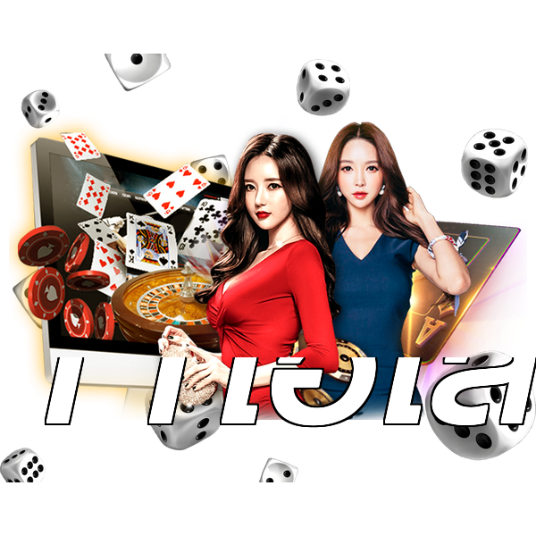11ไฮโล